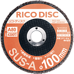 RICO Disc φ100, grana abrasiva alundum 99-SUSA