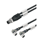 Cavo adattatore per sensore-attuatore (assemblato), cavo di collegamento, M12/ M8, cablaggio doppio, maschio, tipo dritto, femmina 2X, ad angolo