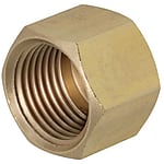 Brass Fittings for Steel Pipe / Caps