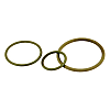 SKINDICHT O-RING FKM