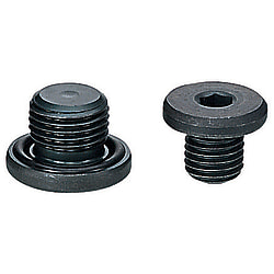 Screw Plugs With O-RING MSWM27
