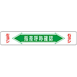Road Surface Traffic Sign "Point and Call Check" Road Surface -5