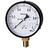 一般蒸気用圧力計（A枠立型・φ75）