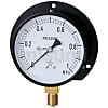 一般蒸気用圧力計（B枠立型・φ100）
