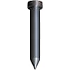 Carbide Straight Pilot Punches for Fixing to Stripper Plates  -Sharp Tip Angle Type - TiCN Coating