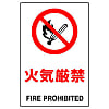 Prohibition Sign Flammable