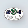 Badge "General Safety and Hygiene Supervisor"