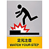 Safety Sign "Watch Your Step" JH-23S
