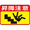 Road Surface Sign "Watch Your Step on Stairs" Road Surface -42
