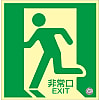 Medium Bright Luminescent Floor Indication Mark "Emergency Exit" Floor 11