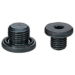 Screw Plugs With O-RING (MSWM12)