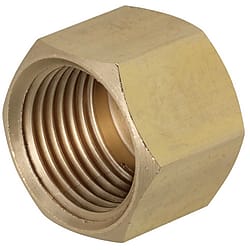 Brass Fittings for Steel Pipe/Caps (SJSCP15A)