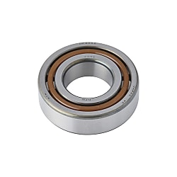 Cylindrical Roller Bearing (Radial) (N310)