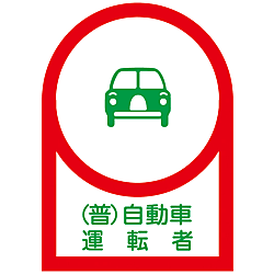 Helmet Stickers "(Regular) Car Driver" 
