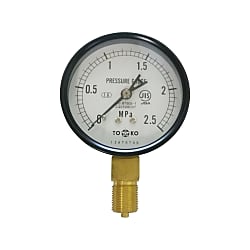 AE Pressure Gauge (Common Pressure Gauge) (AE-AT-G3/8-75X2MPA)