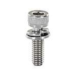 Hex Socket Head Cap Screws With Flat Washer / Spring Washer - Small Box, Single Item [RoHS Comliant]