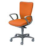Low Back Office Chair Carrozza