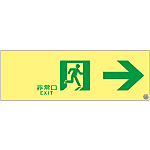 High Brightness Phosphorescent Passage Guidance Sign "Emergency Exit →" ASN901