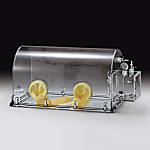 Dome Type Gas Replacement Glove Box