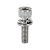 Hex Socket Head Cap Screws With Flat Washer / Spring Washer - Small Box, Single Item [RoHS Comliant]
