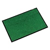 Lone step mat (with lining)
