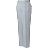 Eco 5 Value 2 Pleat Pants (for Fall and Winter)