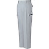 Eco 5 Value 2 Pleat Cargo Pants (for Fall and Winter)
