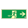 Medium luminance emergency exit sign (Wall sticker type)