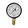 General Industrial Pressure Gauge (ø60, Lower Connection / Type A, Wetted Parts: Corrosion-Proof Use, Performance: General)