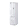 Wood Stocker (Wooden Chemical Storage Cabinet) W-4HN (Main Body)