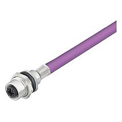 Runder Stecker 1279480500
