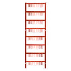 Devise 1001170001