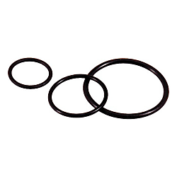 SKINDICHT O-RING 53102021