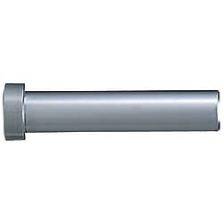 Perni centrali / cilindrici / con testa / HSS, acciaio per utensili / d, L 0,01 mm / forma della faccia selezionabile