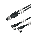 Câble adaptateur pour capteur-actionneur (assemblé), ligne de connexion, M12 / M8, câblage double