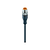 Actuator-sensor Connection, M12 Plug, Straight