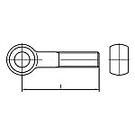 DIN 444 Eye bolts