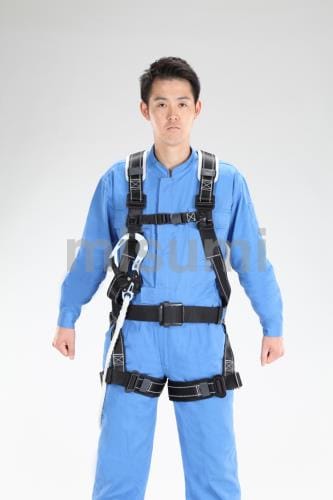 フルハーネス型墜落制止用器具（平綱式）
