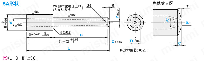 ピンポイントゲートブシュ -超硬/内径SR/B寸指定タイプ- 