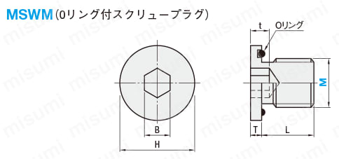 Oリング付スクリュープラグ 