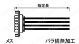 バラ線フード無しメスタイプ:関連画像