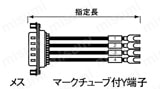 バラ線フード無しメスタイプ:関連画像