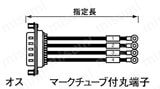 バラ線フード無しメスタイプ:関連画像