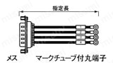 バラ線フード無しメスタイプ:関連画像
