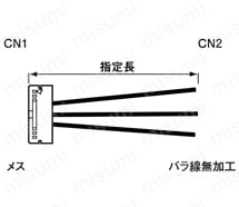 バラ線フード無しメスタイプ:関連画像