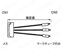バラ線フード無しメスタイプ:関連画像