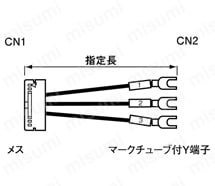 バラ線フード無しメスタイプ:関連画像