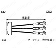 バラ線フード無しメスタイプ:関連画像