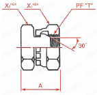 PT接続PF30°MIS メスプラグ 外形図