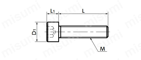 六角穴付きボルト（無電解ニッケルメッキ） SNS-EL | 鍋屋バイテック